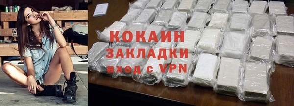 трава Белокуриха