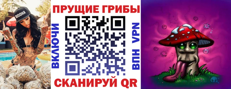 Псилоцибиновые грибы Cubensis  магазин    Новый Уренгой 